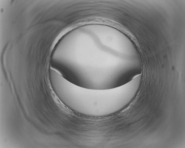 X0000081271530200701251550