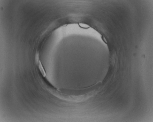 X0000081270027200702012205