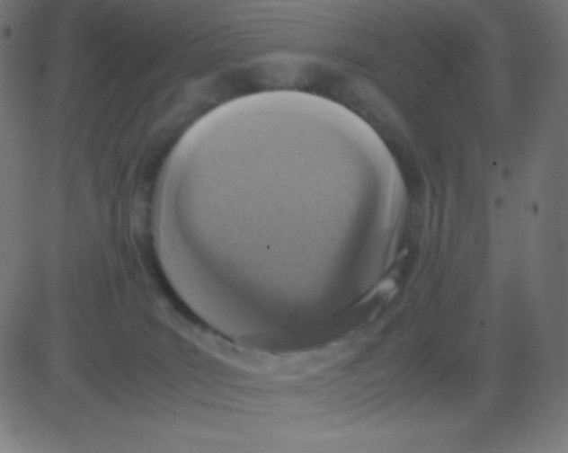 X0000081270035200702012205