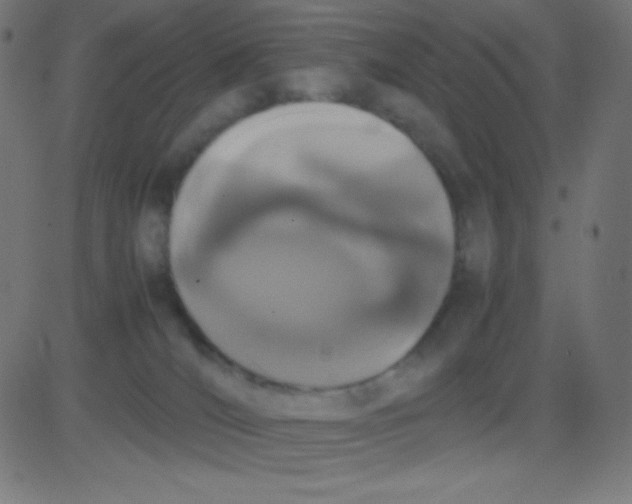 X0000081270036200702012205