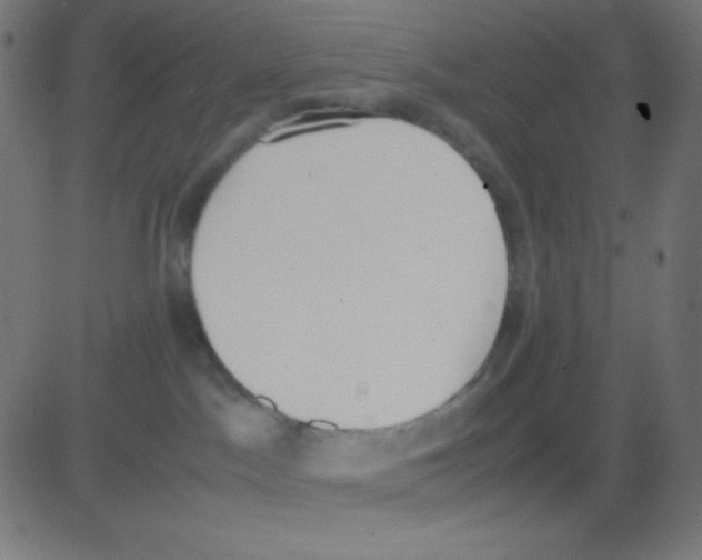 X0000081270045200702012204