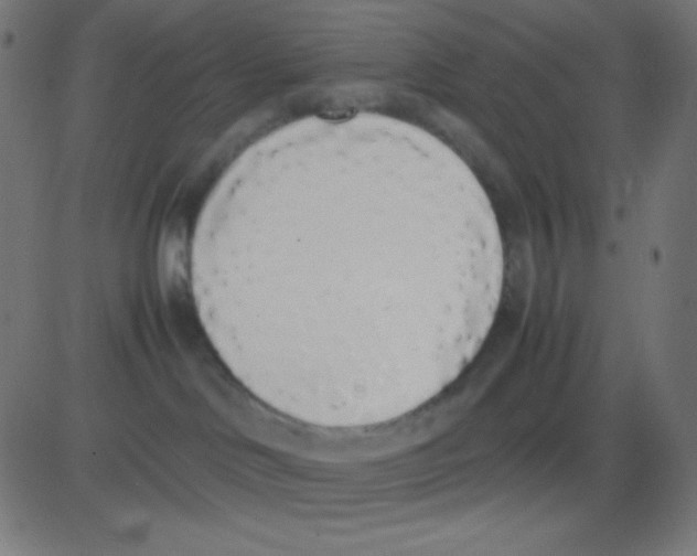 X0000081270046200702012204
