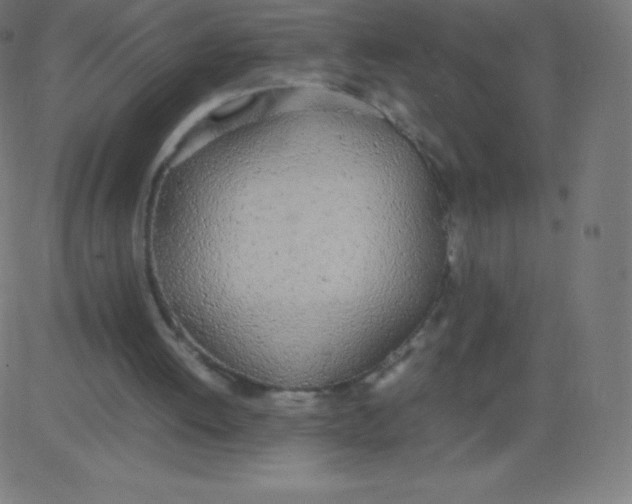 X0000081270052200702012204