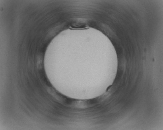 X0000081270082200702012204
