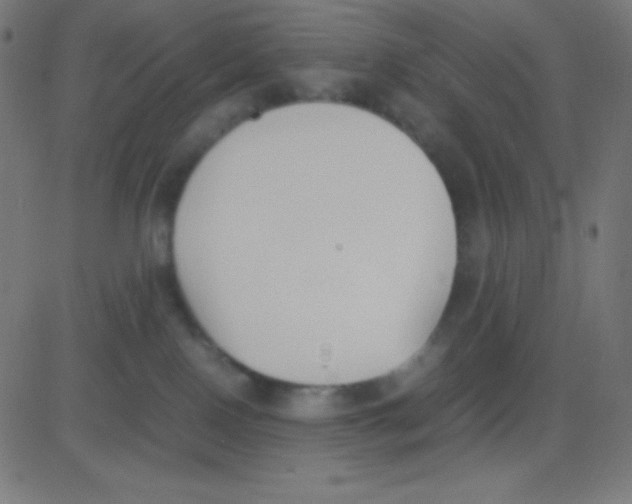 X0000081270090200702012204