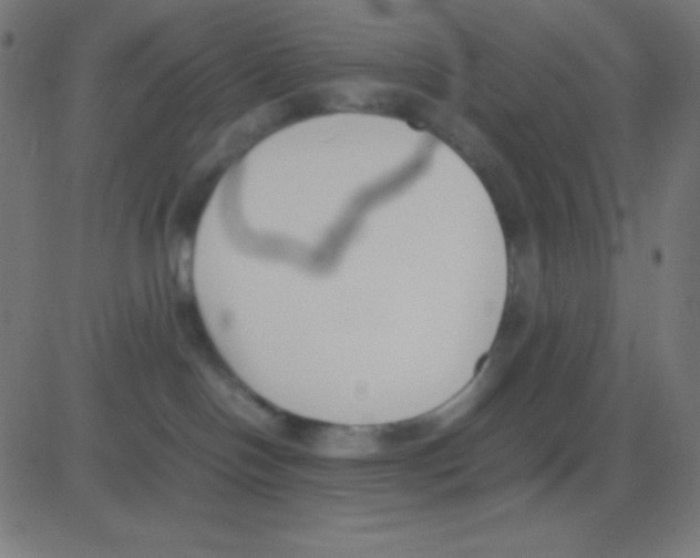 X0000081270094200702012204