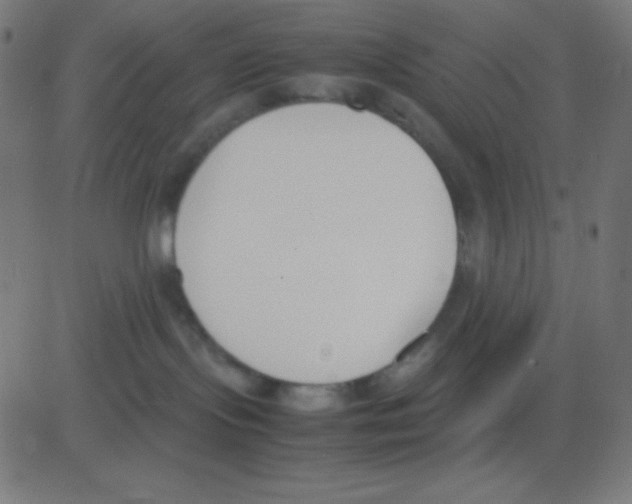 X0000081270095200702012204