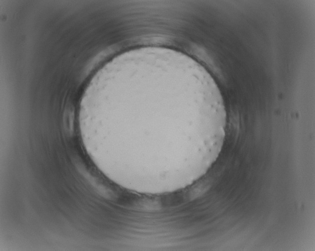 X0000081270110200702012203