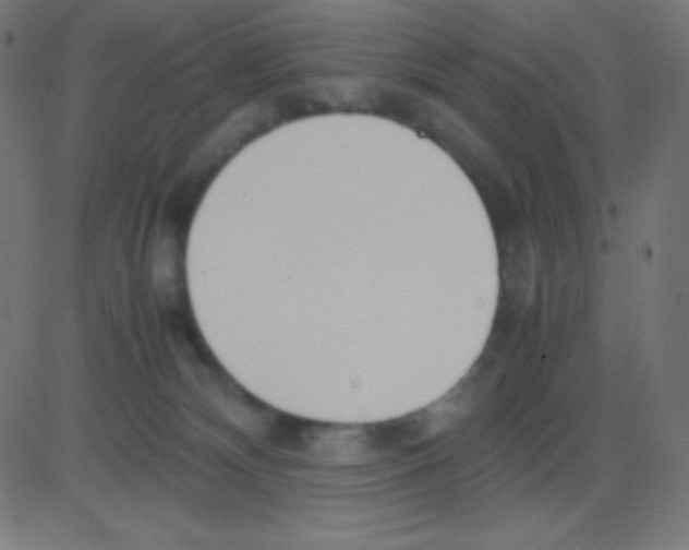 X0000081270132200702012203