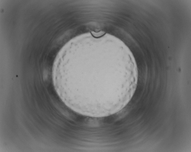 X0000081270134200702012203