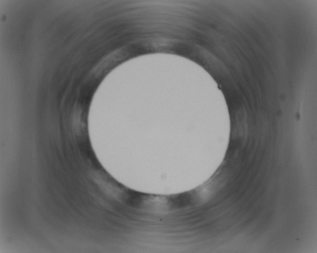 X0000081270140200702012203