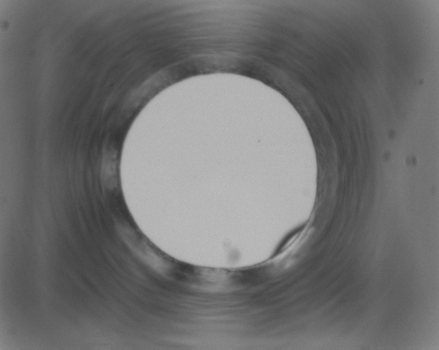X0000081270144200702012203