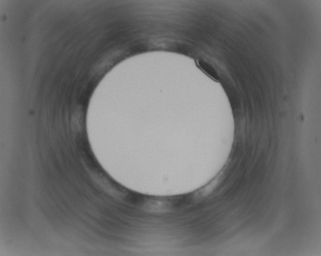 X0000081270174200702012202
