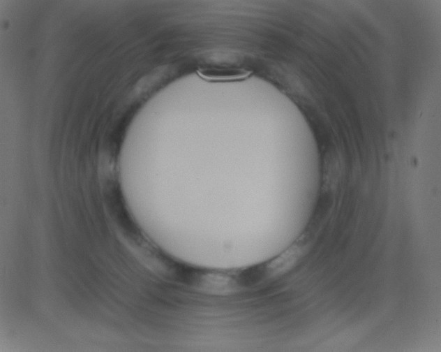 X0000081270176200702012202