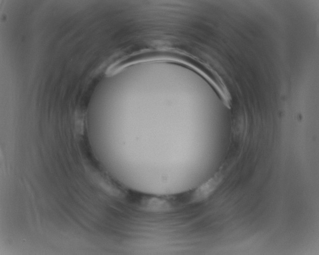 X0000081270180200702012203