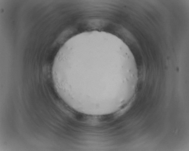 X0000081270182200702012203
