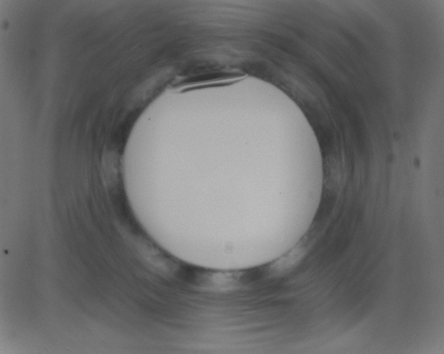 X0000081270184200702012203