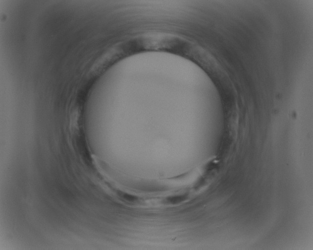 X0000081270219200702012202