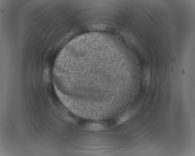 X0000081270224200702012201