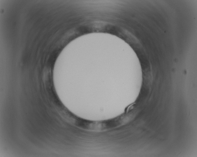 X0000081270225200702012201