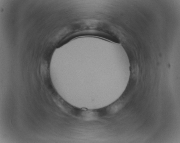 X0000081270231200702012201