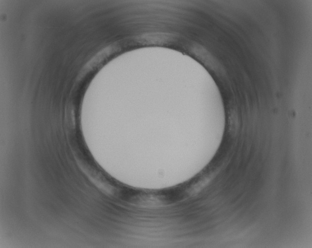 X0000081270254200702012201