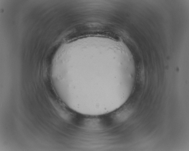 X0000081270266200702012201