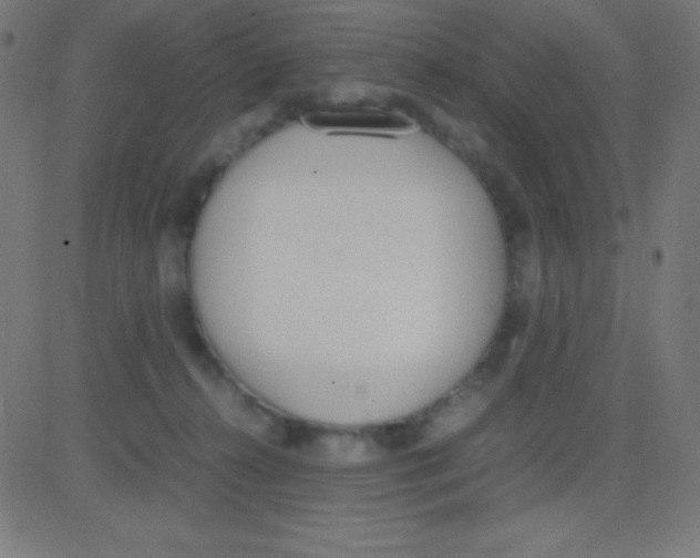 X0000081270272200702012201