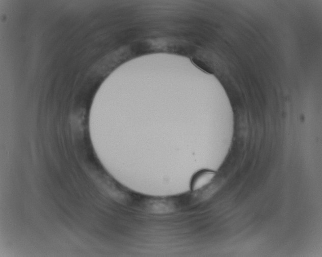 X0000081270275200702012201
