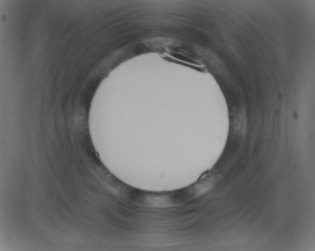 X0000081270283200702012201