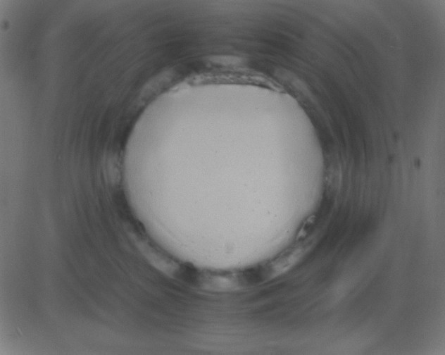X0000081270285200702012201
