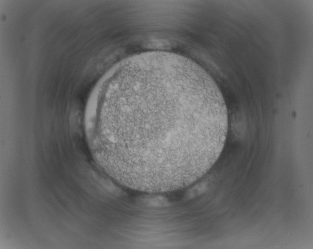 X0000081270322200702012200