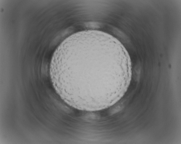 X0000081270330200702012200