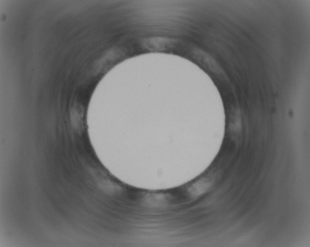 X0000081270332200702012200