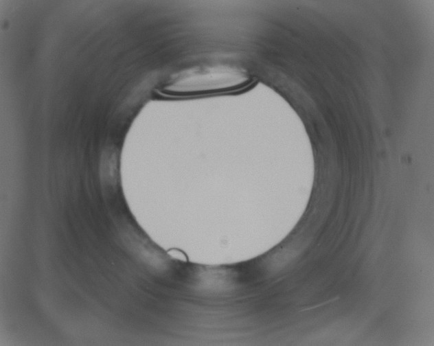 X0000081270336200702012200