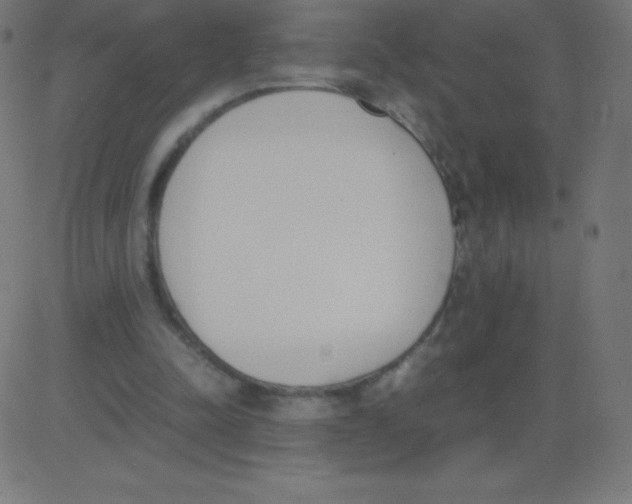 X0000081270342200702012159