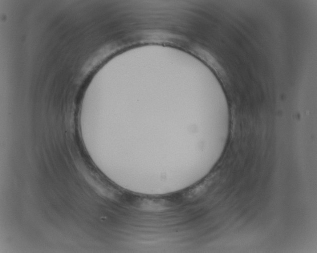 X0000081270346200702012159