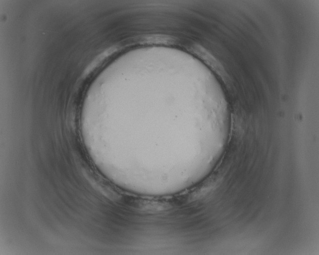X0000081270347200702012159