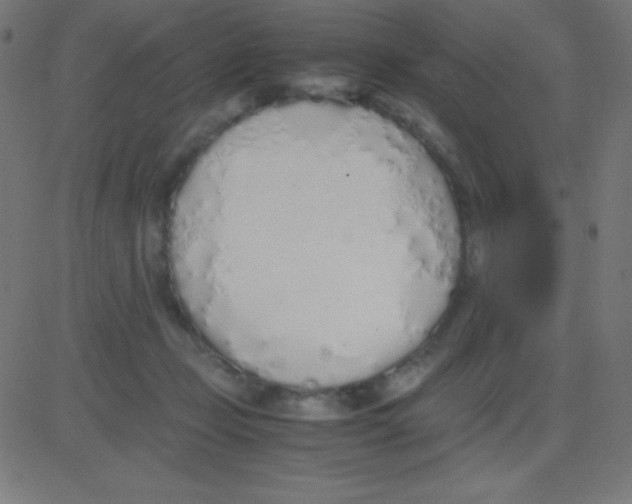 X0000081270365200702012159