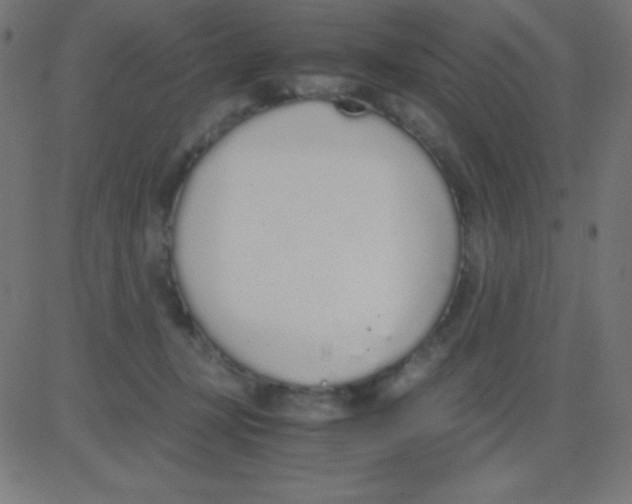 X0000081270367200702012159