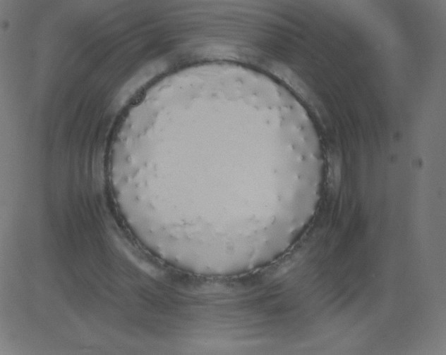 X0000081270390200702012159