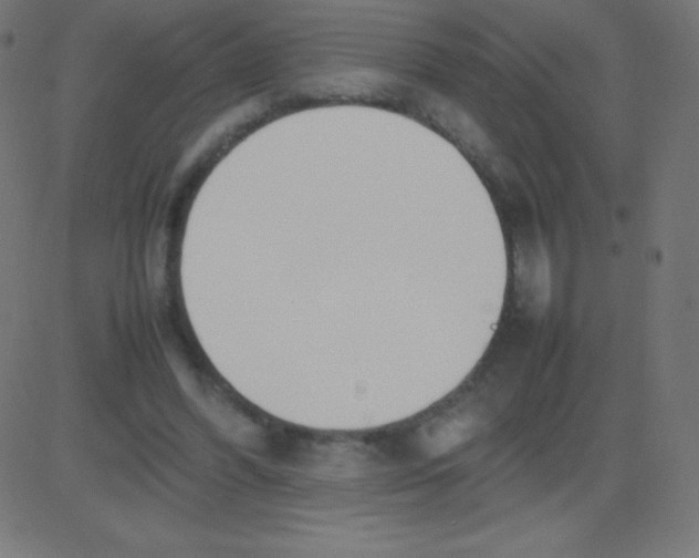 X0000081270396200702012159