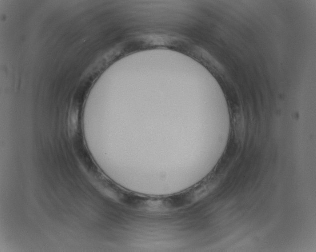 X0000081270406200702012158