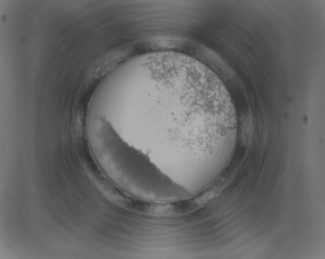 X0000081270410200702012158