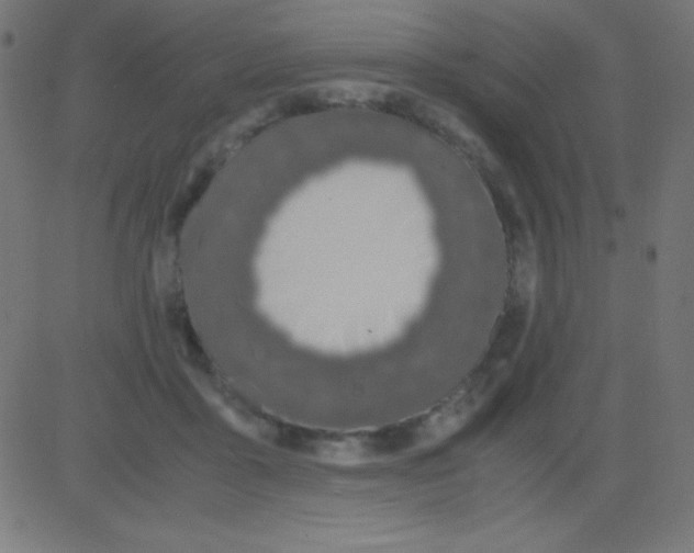 X0000081270411200702012158