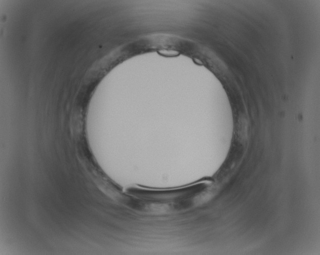 X0000081270413200702012158