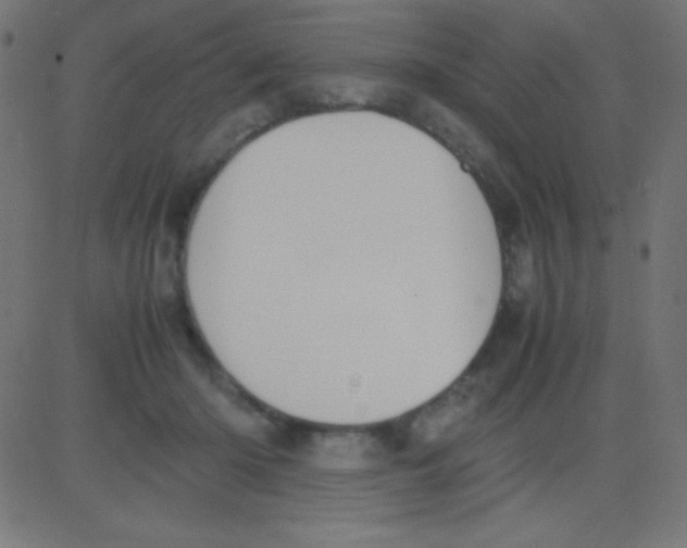 X0000081270414200702012158