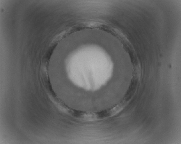 X0000081270415200702012158