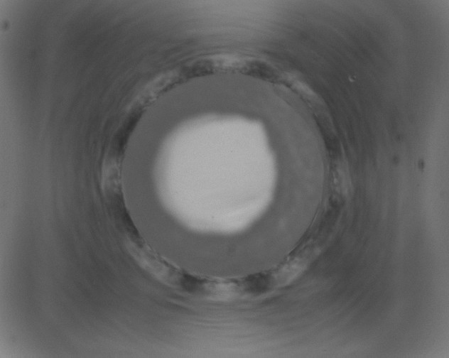X0000081270419200702012158
