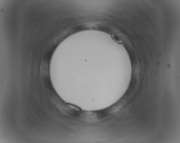 X0000081270421200702012158